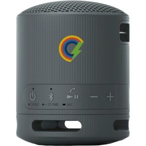 Sony SRS-XB100 Bluetooth Speaker