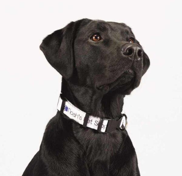 Full Color 1" Wide Adjustable Pet Collar - Image 2