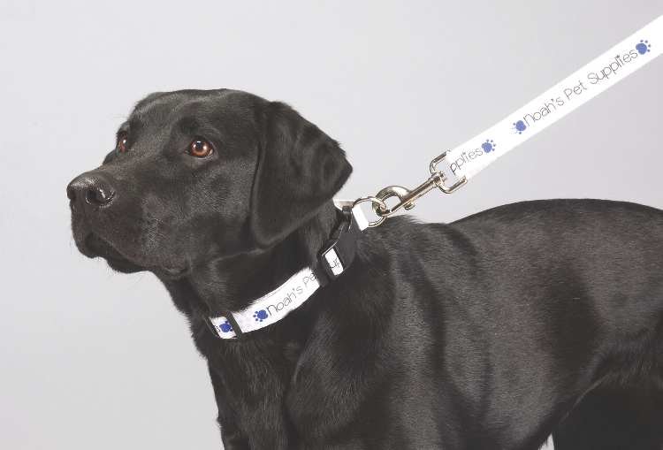 Full Color 1" Wide Premium Pet Leash